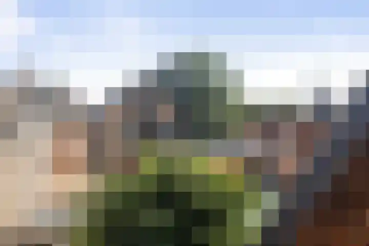 Brink 15 D Deventer thumbnail 20