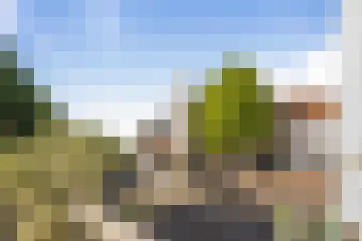Brink 15 D Deventer thumbnail 22