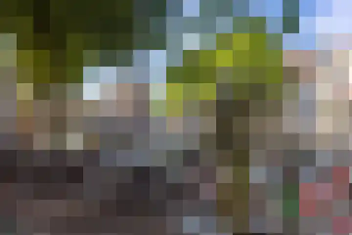 Brink 15 D Deventer thumbnail 23