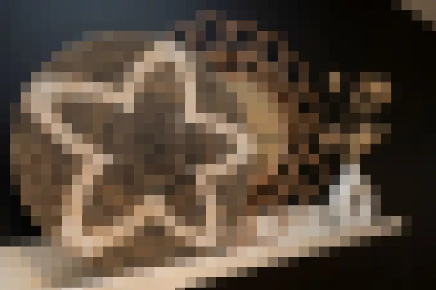 Brink 15 De Koog thumbnail 13