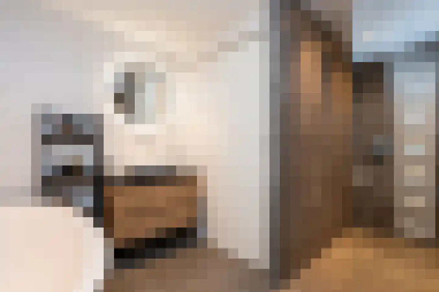 Brink 15 De Koog thumbnail 34