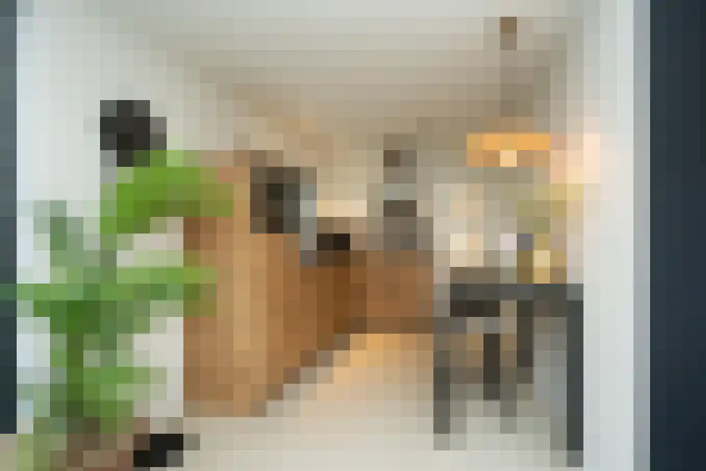 Brink 15 De Koog thumbnail 45