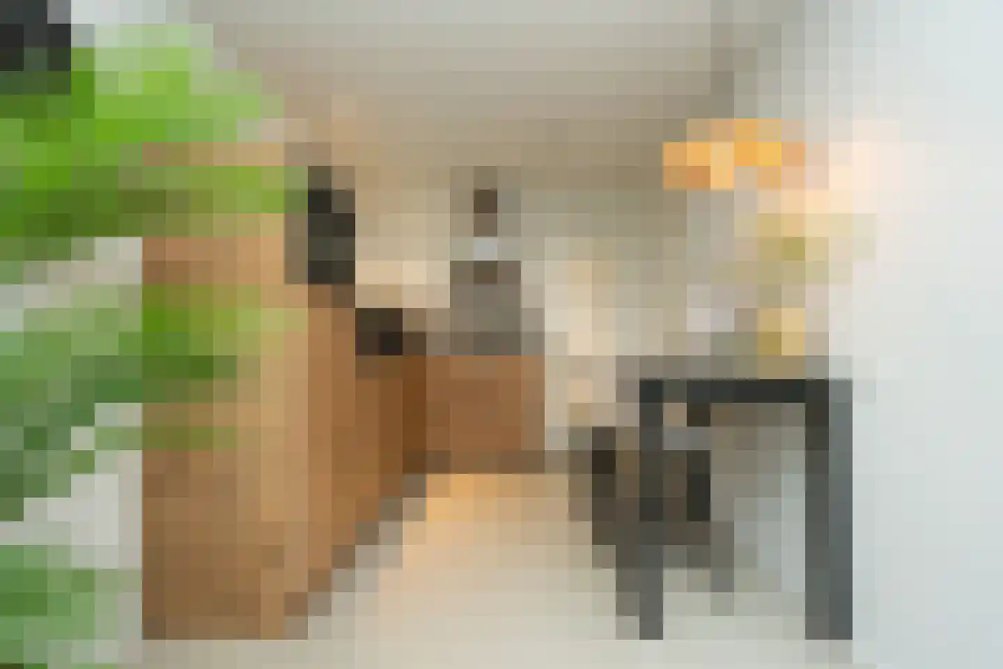 Brink 15 De Koog thumbnail 47