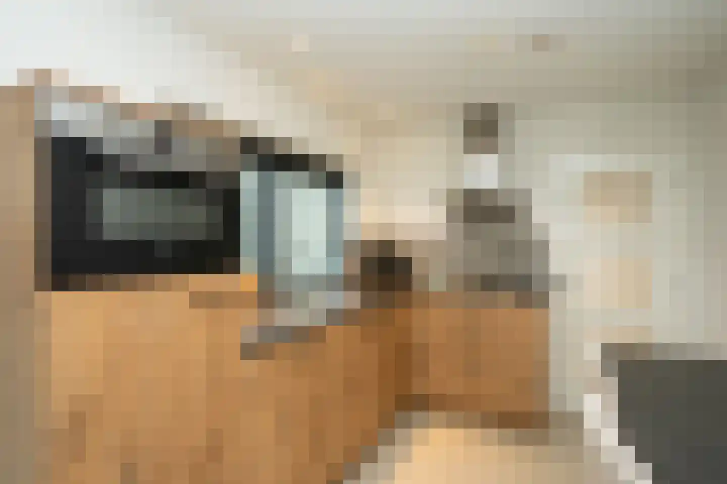 Brink 15 De Koog thumbnail 48