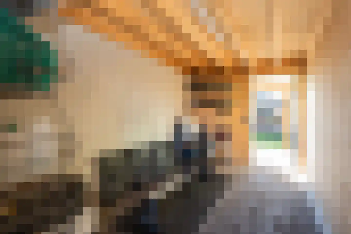 Brink 15 De Koog thumbnail 70