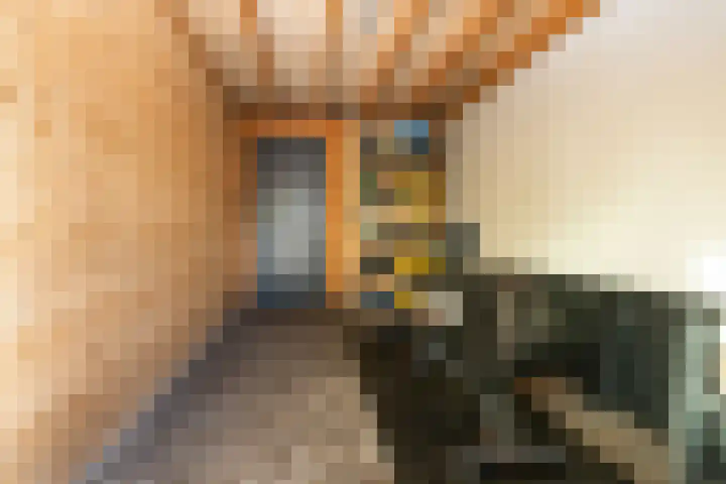 Brink 15 De Koog thumbnail 71