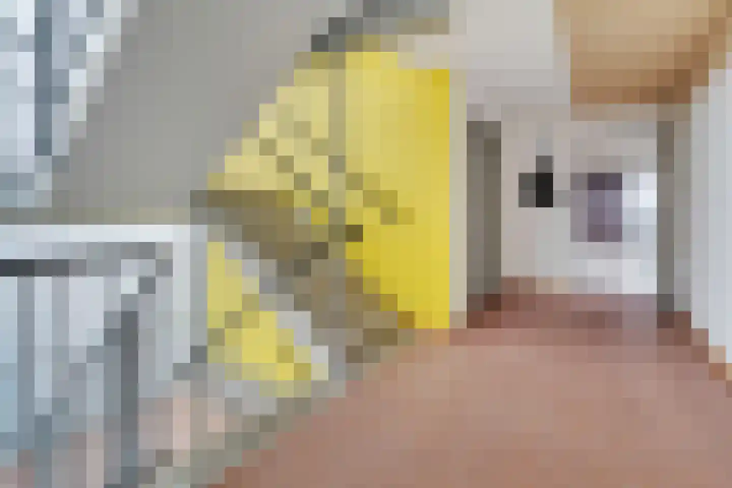 Brink 152 Hengelo thumbnail 8