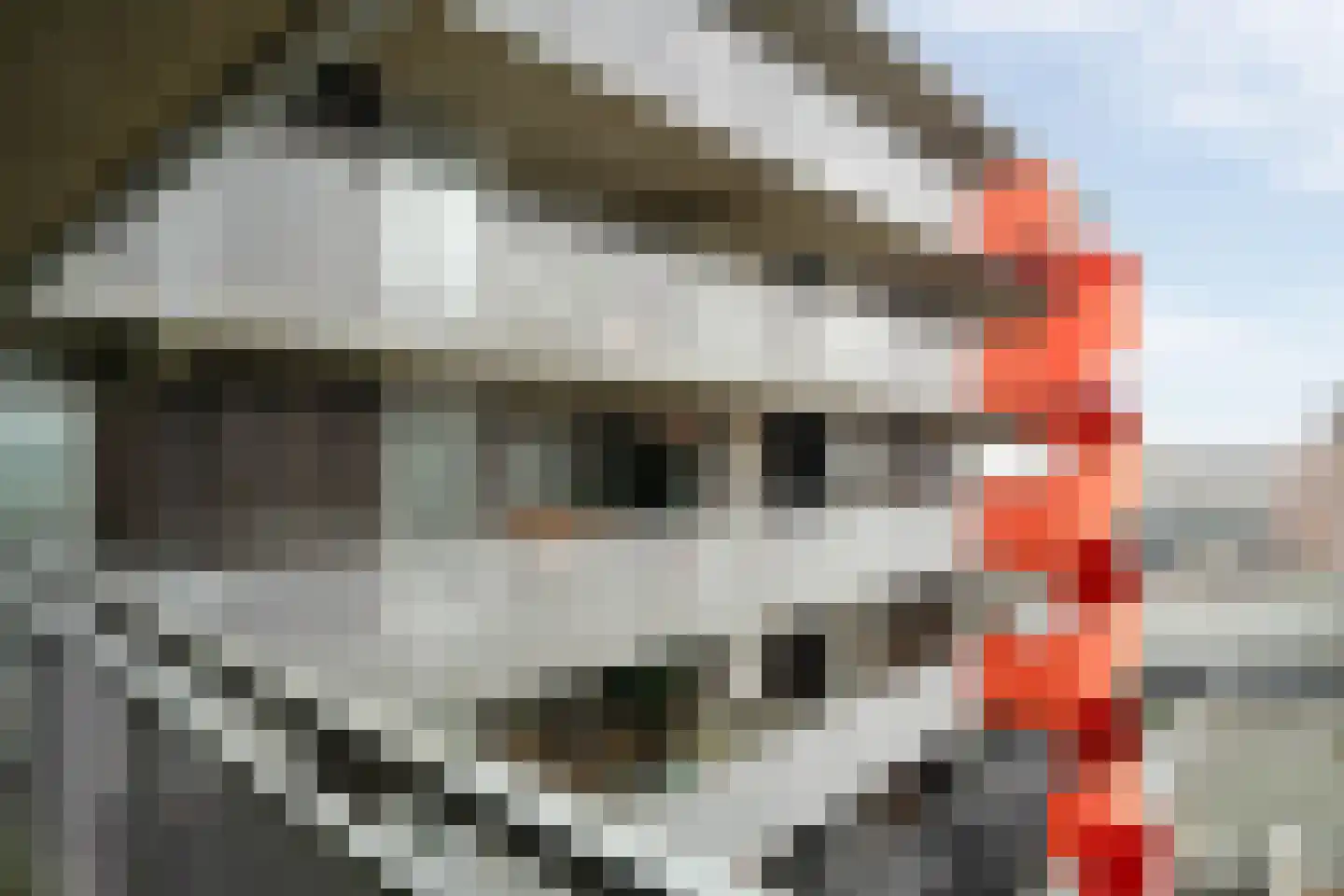 Brink 152 Hengelo thumbnail 9