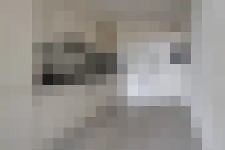 Brink 158 Hengelo thumbnail 20