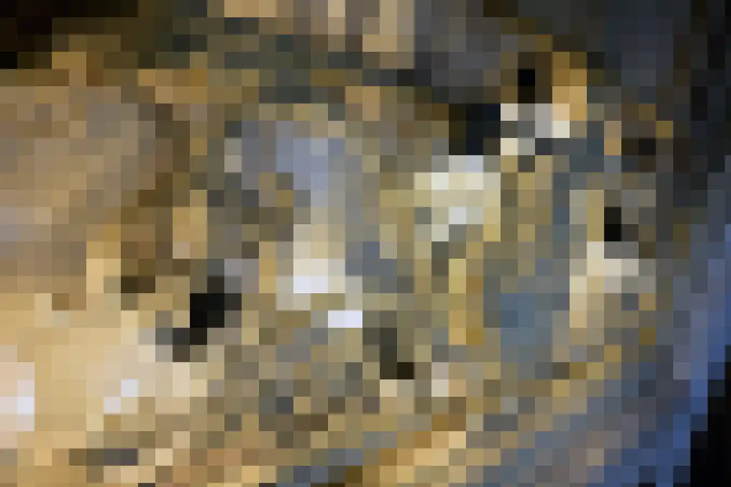 Brink 16 Deventer thumbnail 15