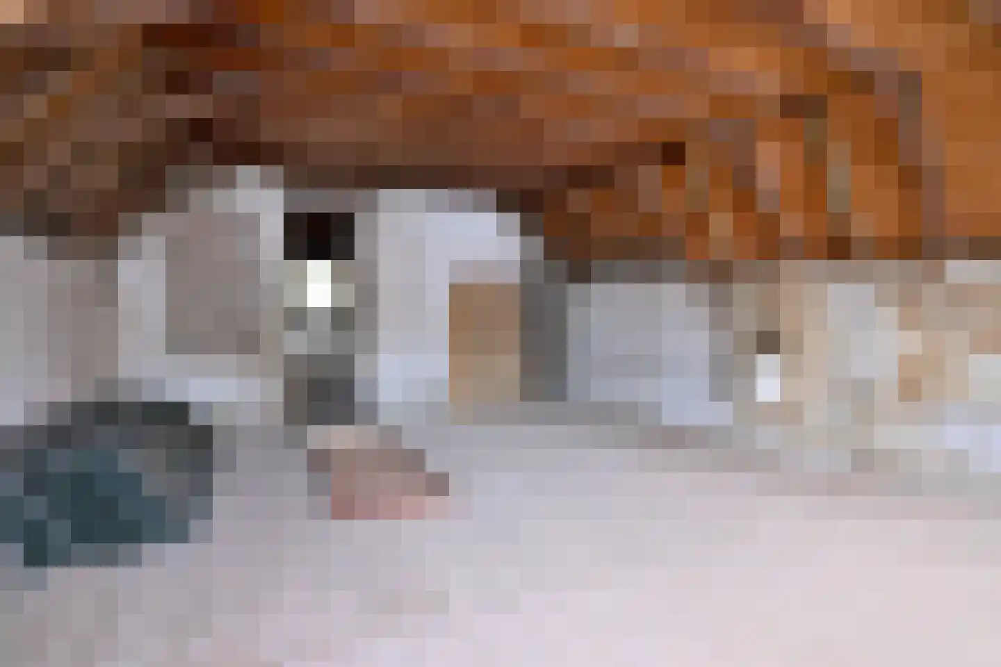 Brink 16 Deventer thumbnail 20