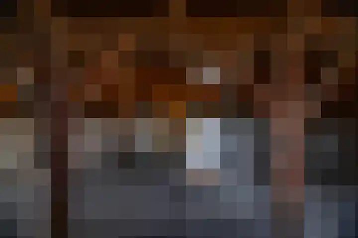 Brink 16 Deventer thumbnail 21
