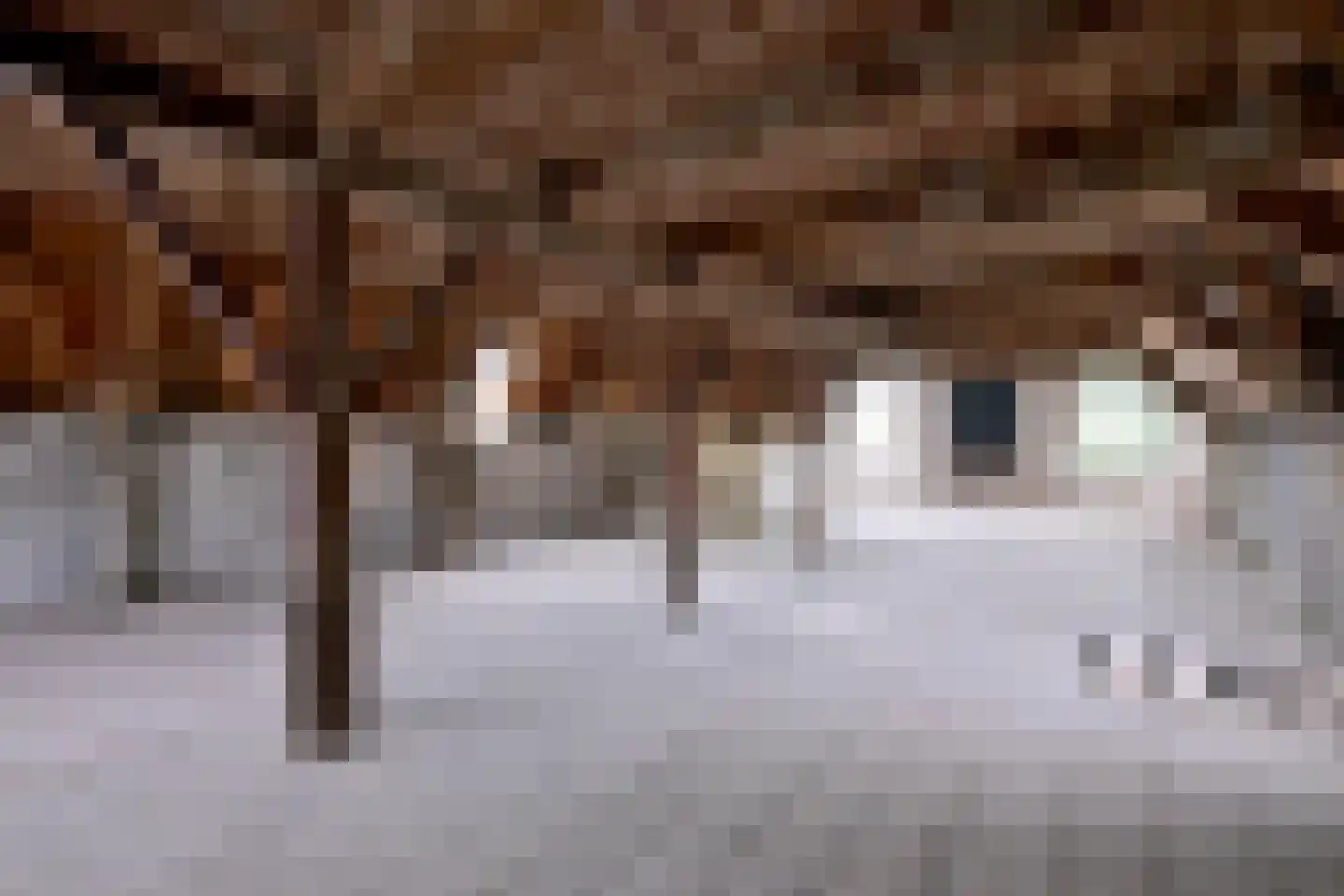 Brink 16 Deventer thumbnail 23