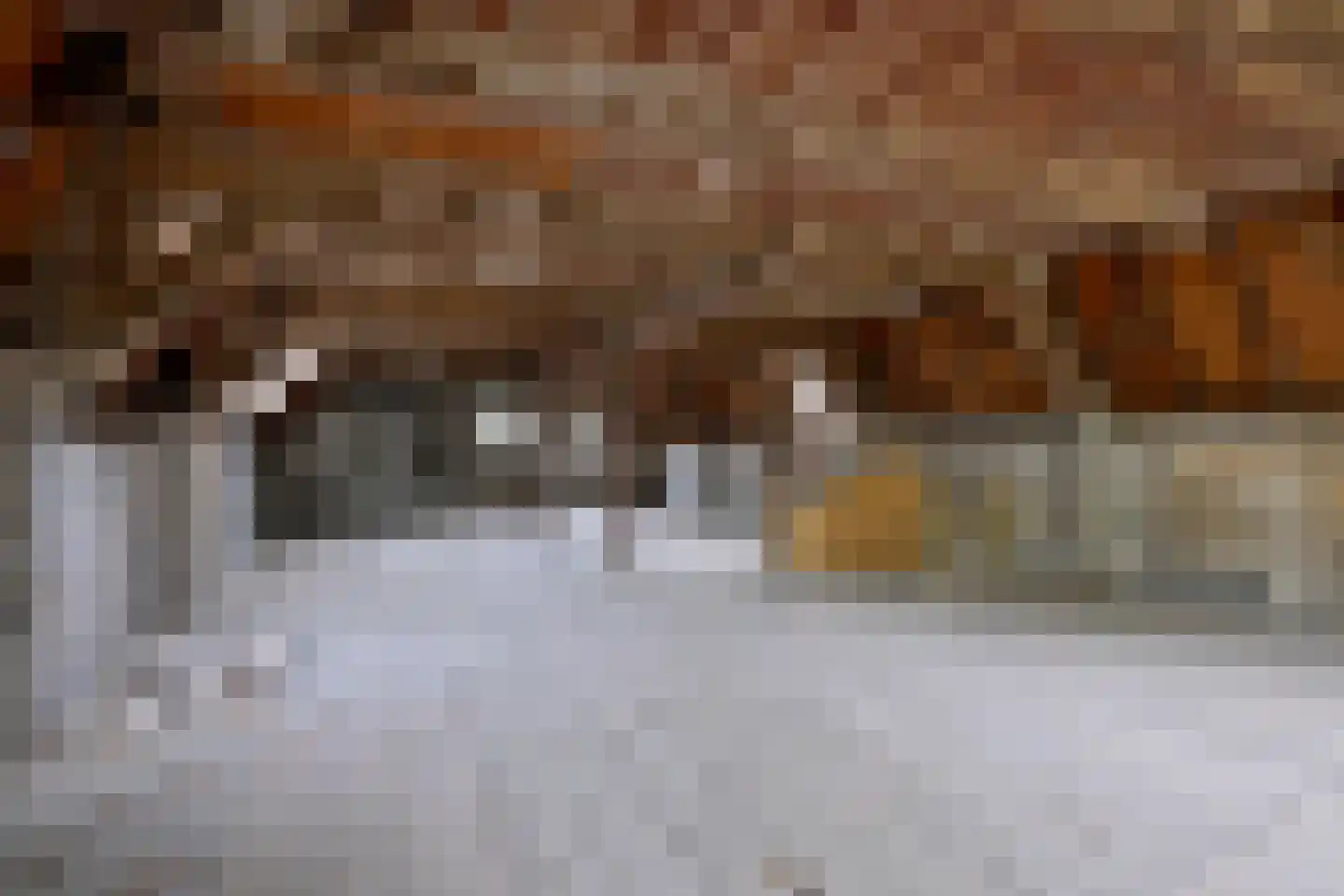 Brink 16 Deventer thumbnail 24