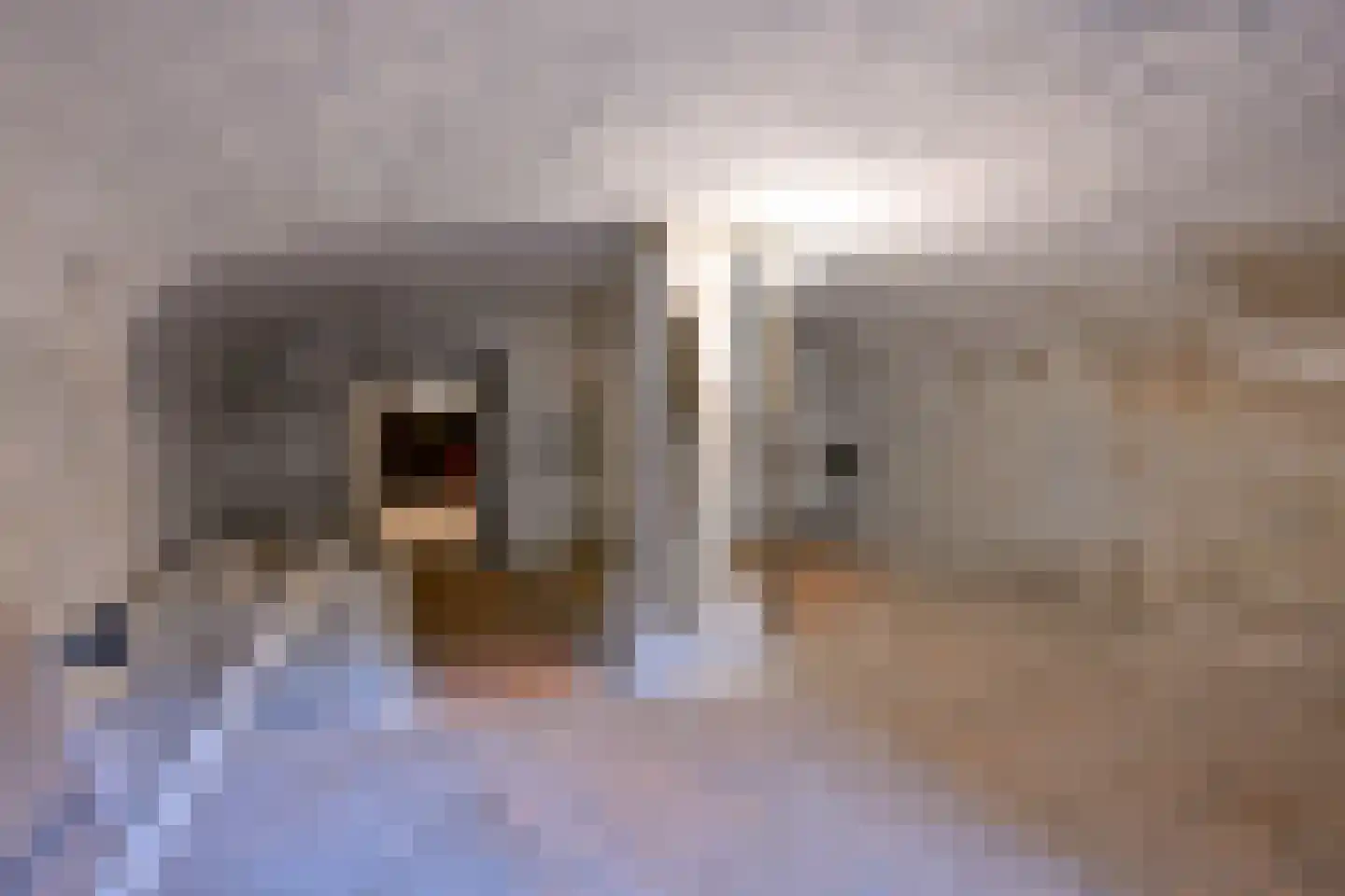 Brink 16 Deventer thumbnail 27