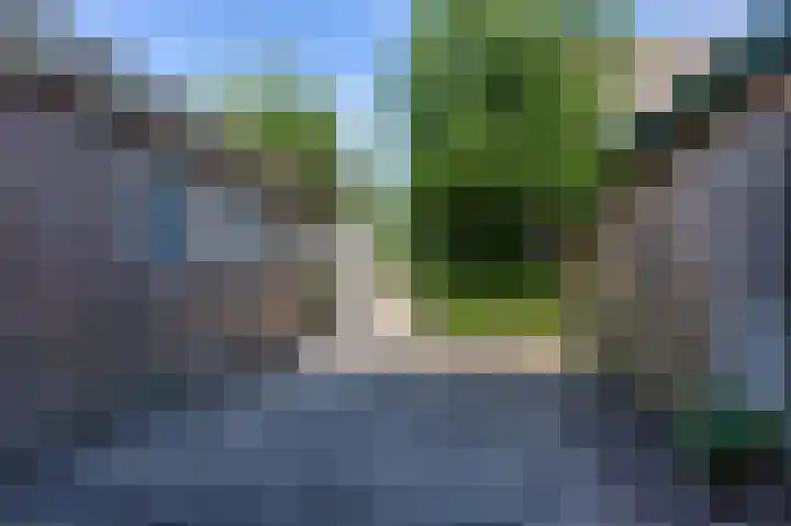 Brink 16 Scheerwolde thumbnail 36