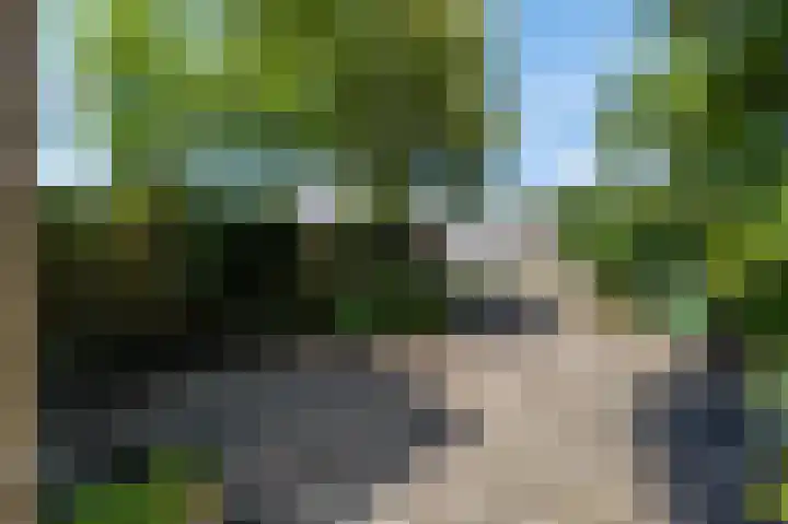 Brink 16 Scheerwolde thumbnail 37