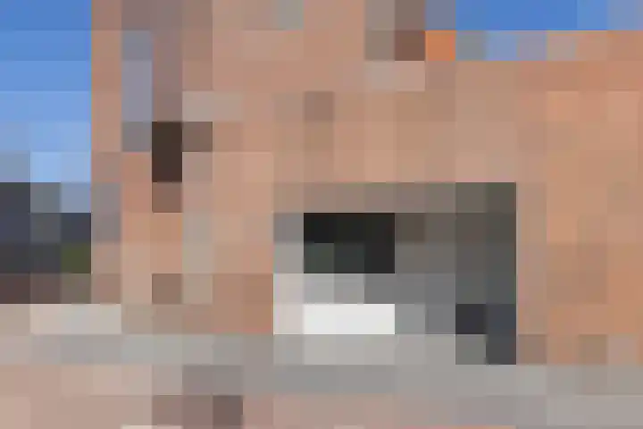 Brink 162 Hengelo thumbnail 23