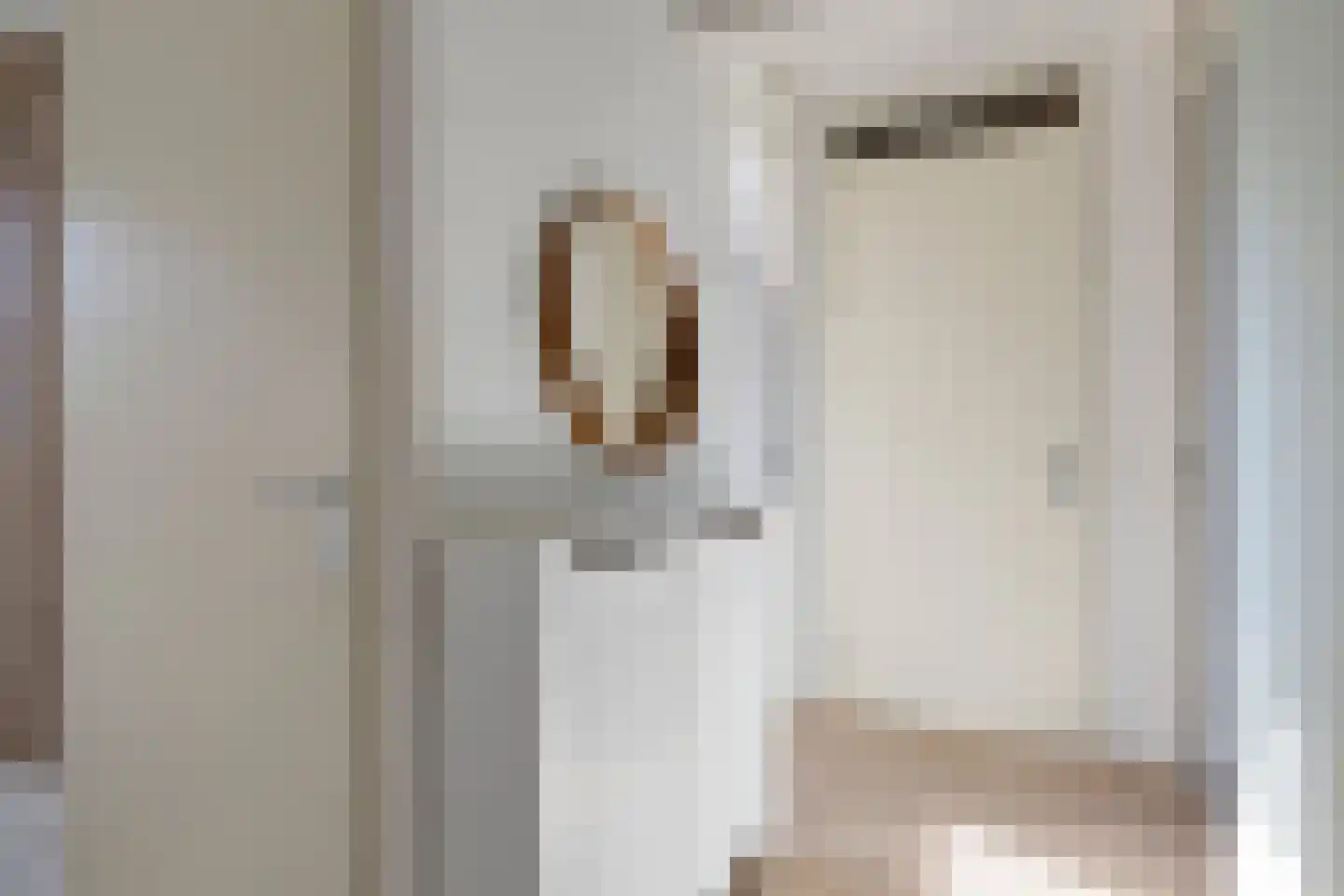 Brink 17 Huissen thumbnail 18