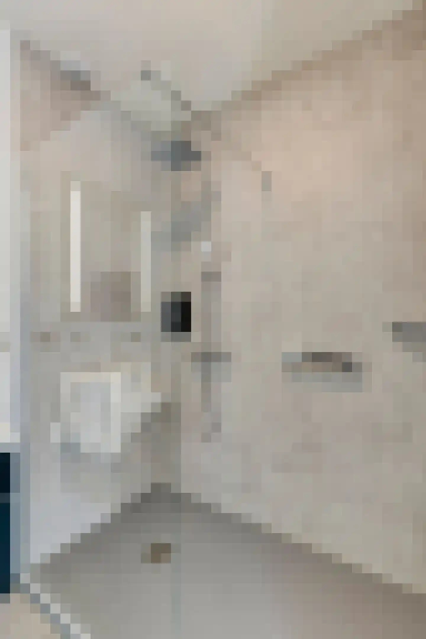 Brink 17 Huissen thumbnail 23