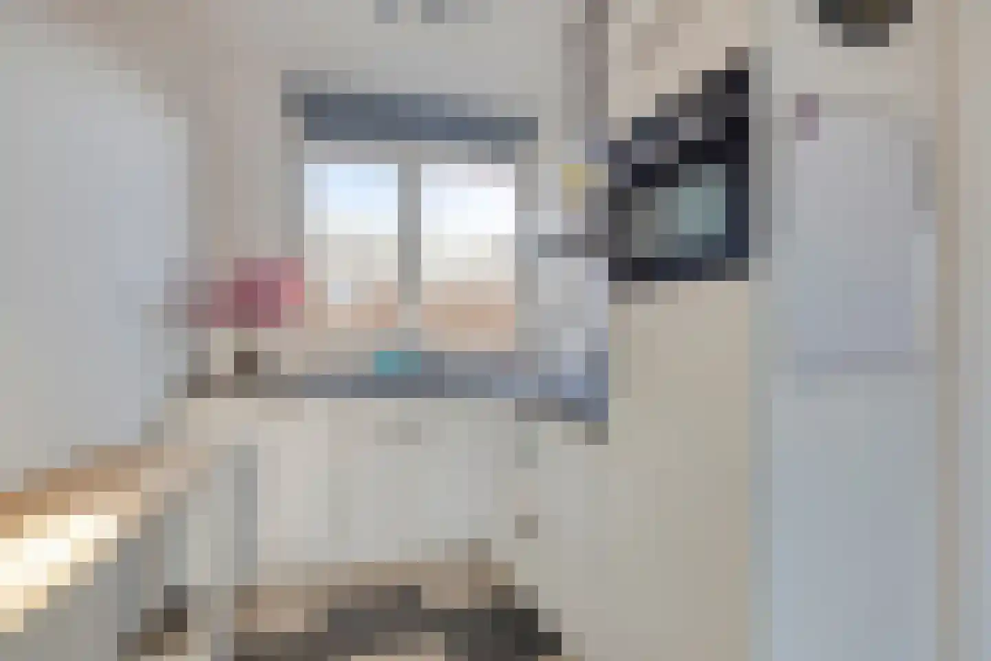 Brink 17 Huissen thumbnail 6