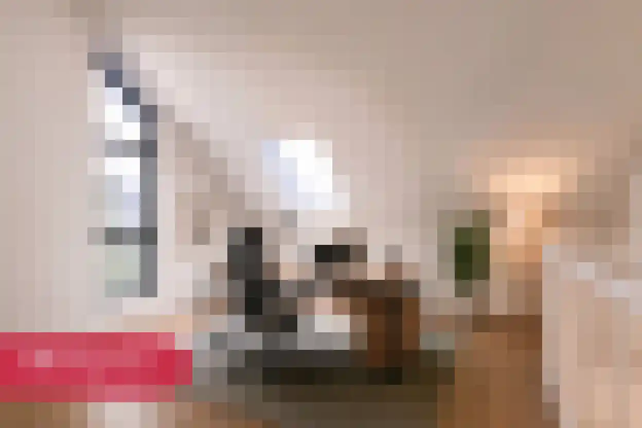 Brink 17 Meerkerk thumbnail 12