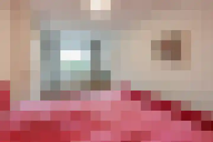 Brink 18 0002 Baarn thumbnail 17
