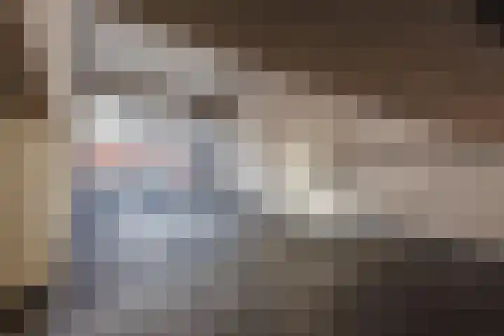 Brink 18 0002 Baarn thumbnail 28