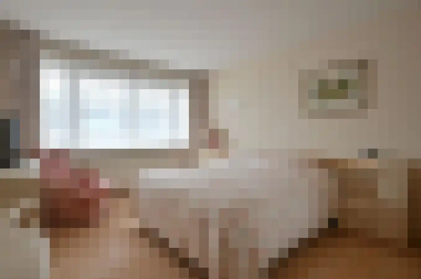 Brink 18 0004 Baarn thumbnail 13