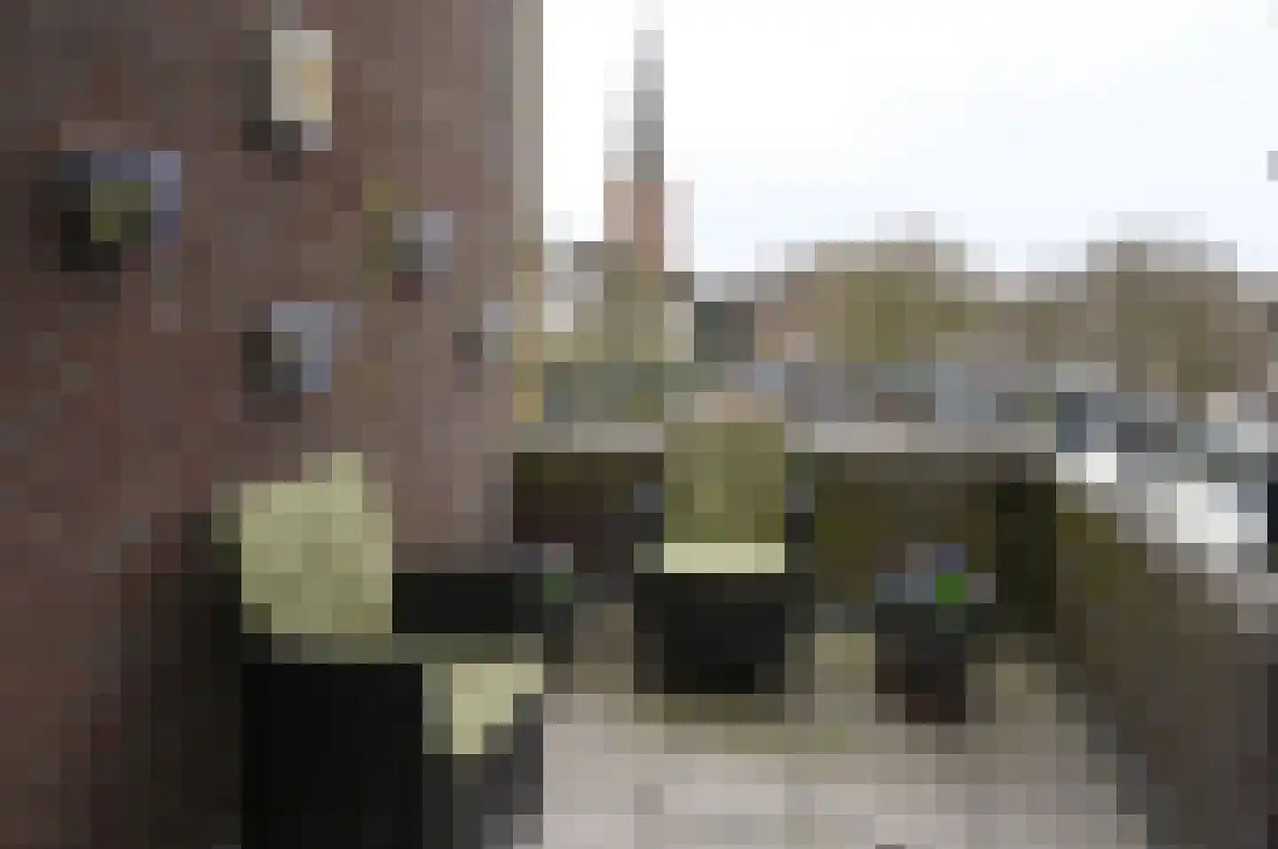 Brink 18 0004 Baarn thumbnail 17
