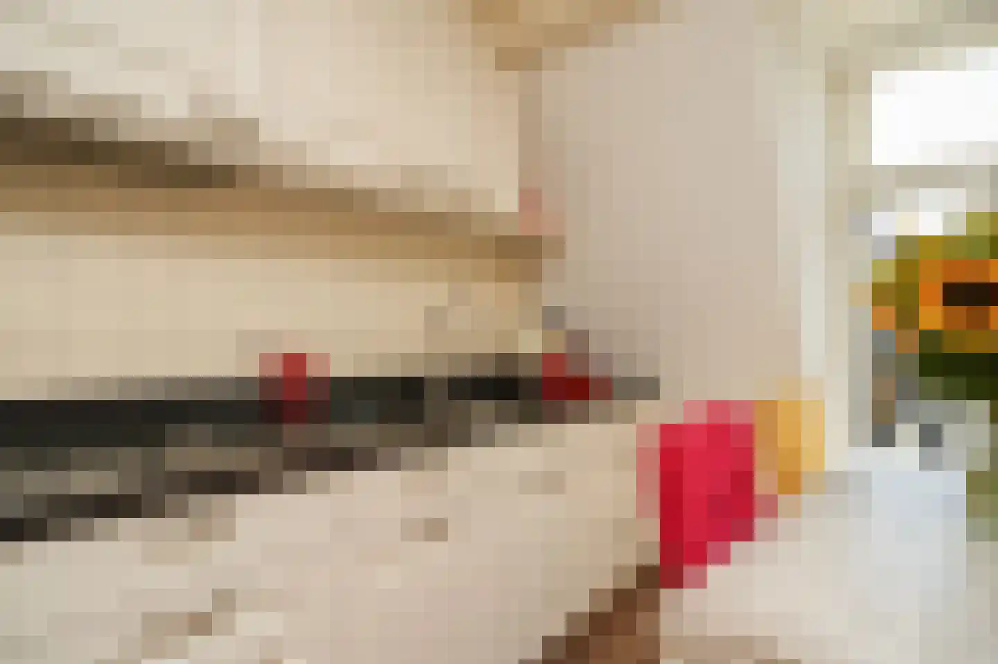 Brink 2 Langbroek thumbnail 10