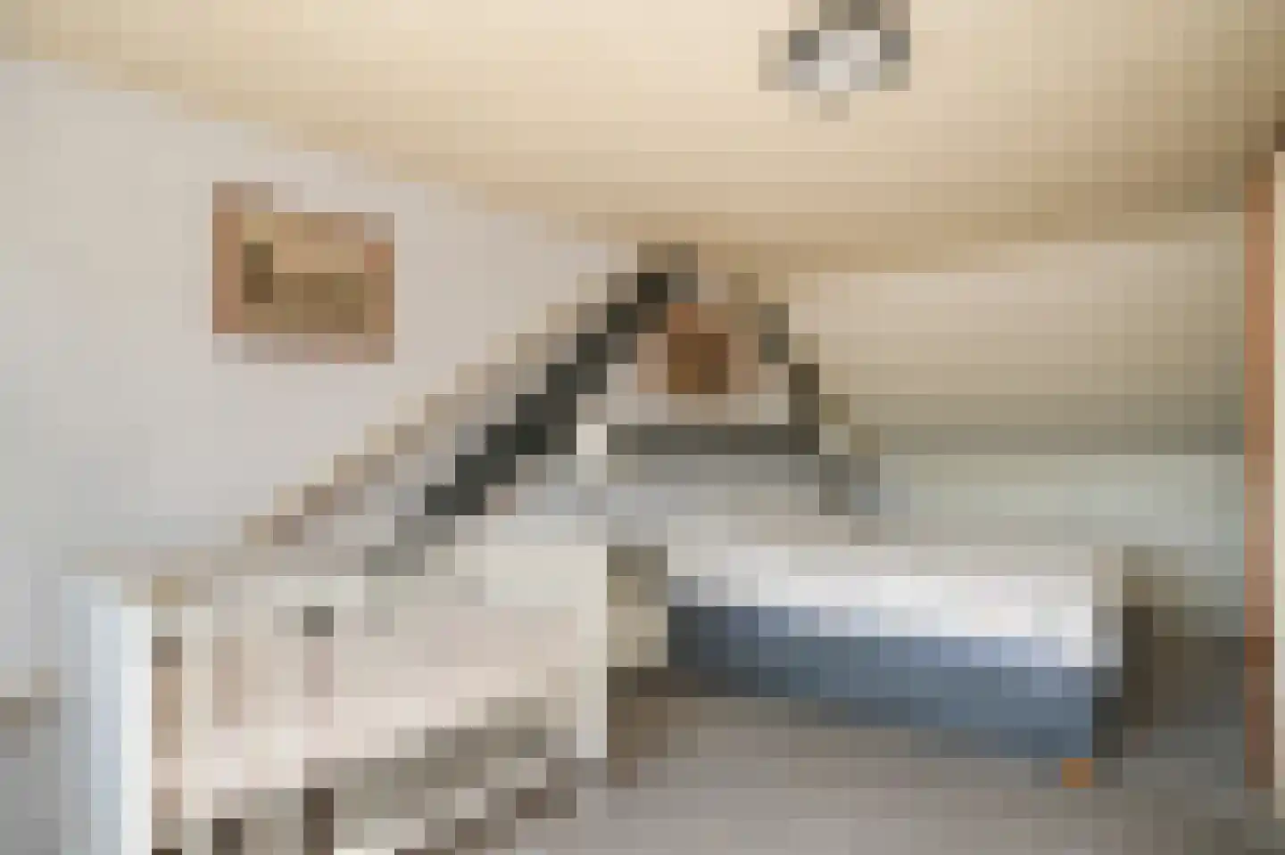 Brink 2 Langbroek thumbnail 13