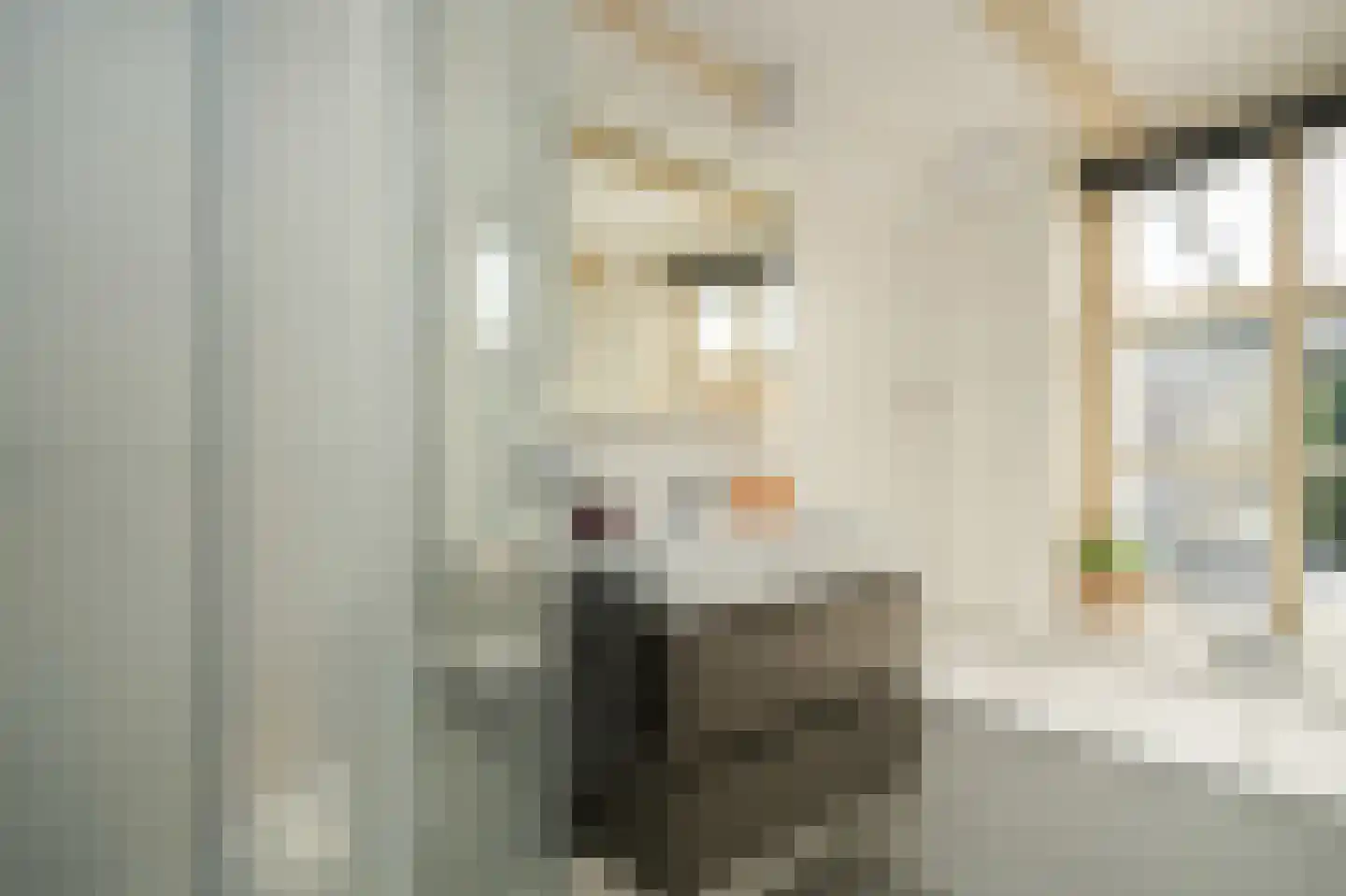 Brink 2 Langbroek thumbnail 19