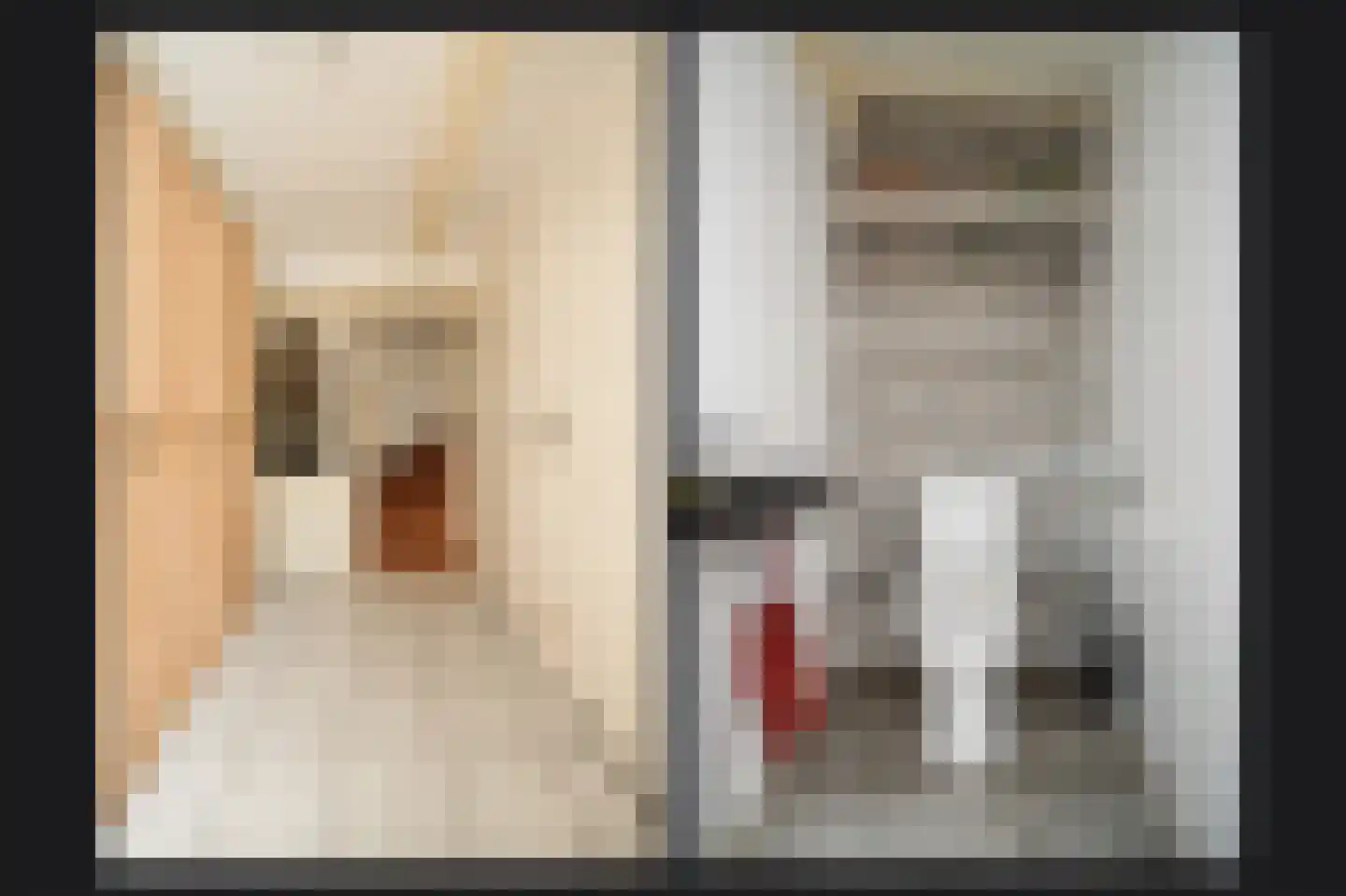Brink 2 Langbroek thumbnail 21