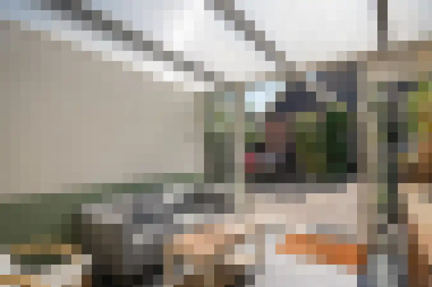 Brink 2 Langbroek thumbnail 22