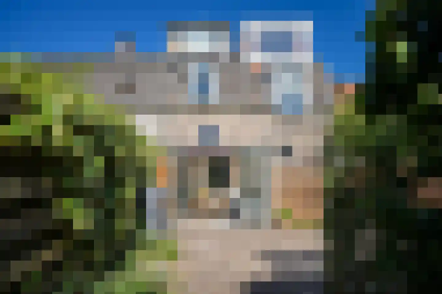 Brink 2 Langbroek thumbnail 25