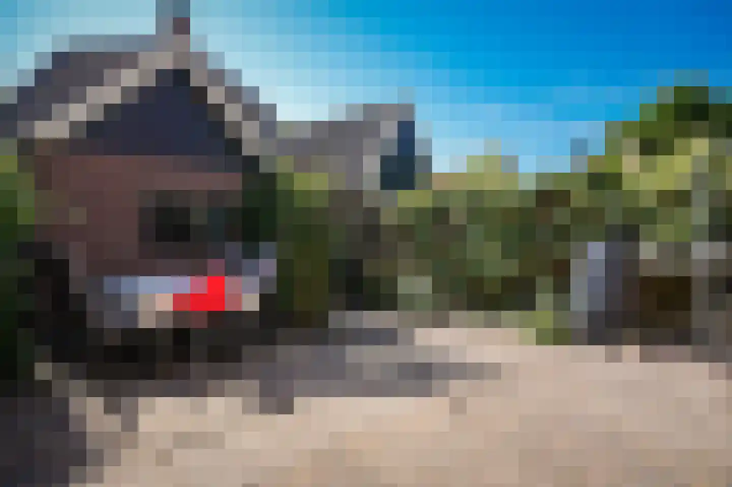 Brink 2 Langbroek thumbnail 28