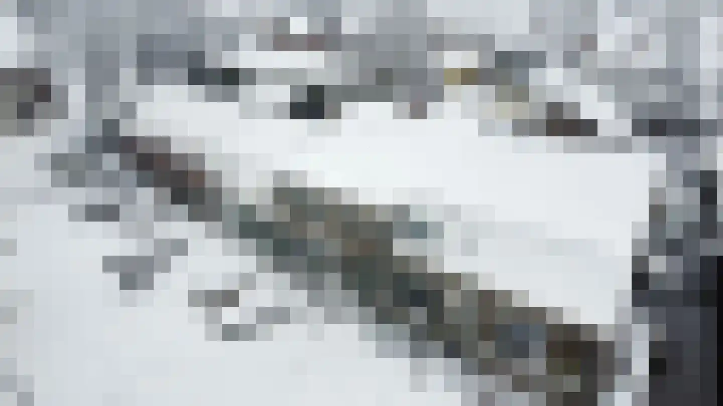 Brink 2 Langbroek thumbnail 33