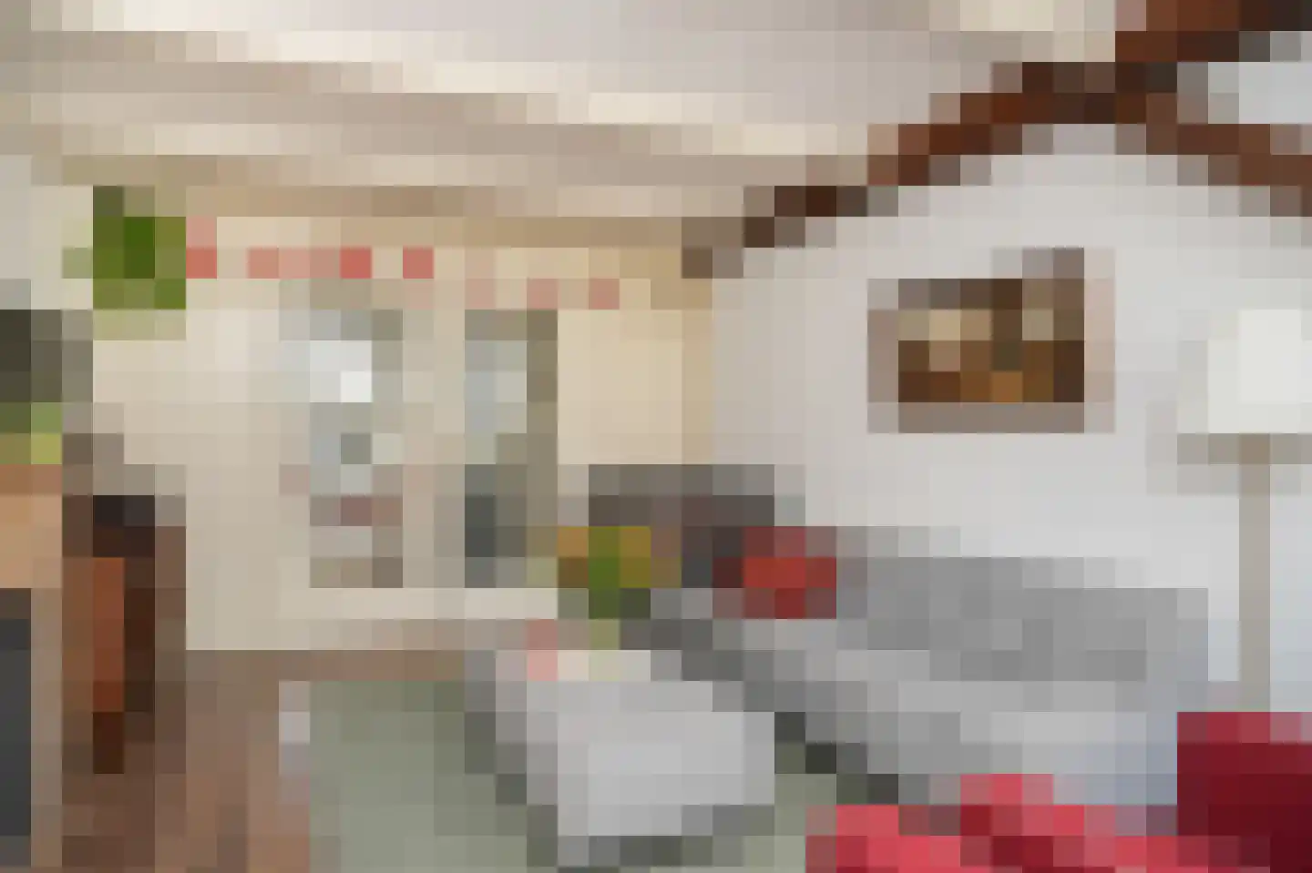 Brink 2 Langbroek thumbnail 4
