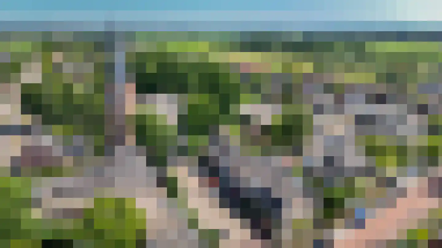 Brink 2 Langbroek thumbnail 41
