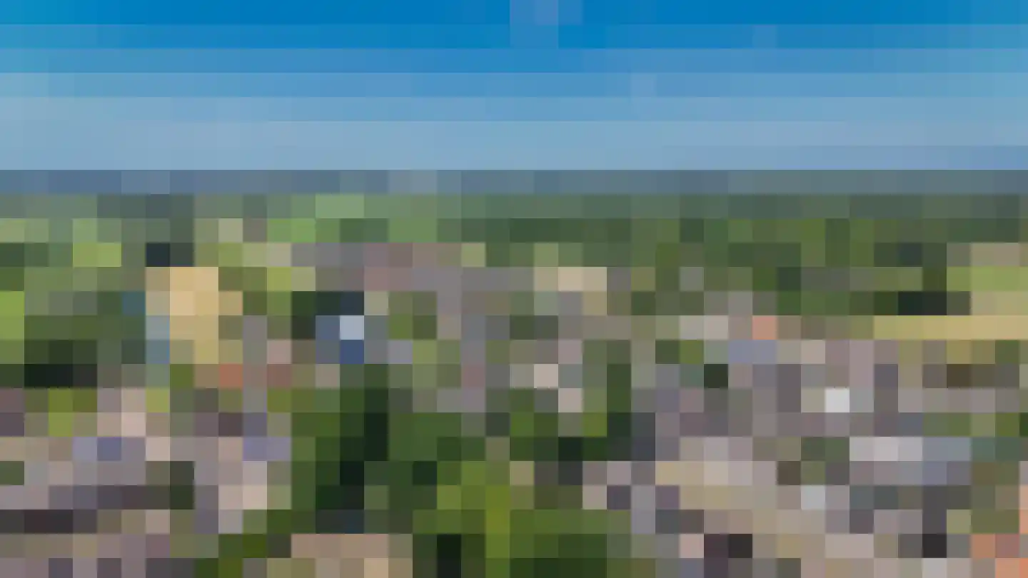 Brink 2 Langbroek thumbnail 42