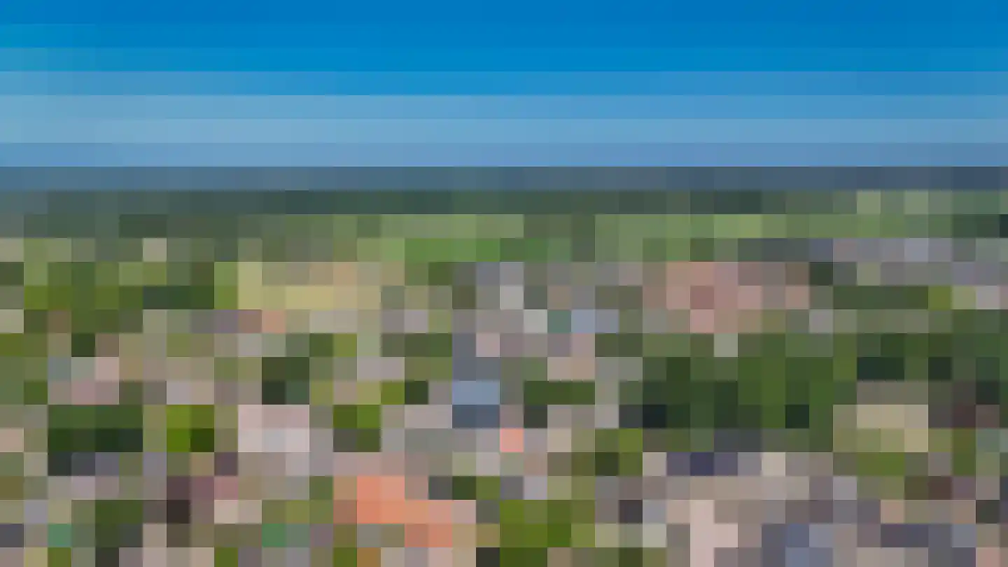 Brink 2 Langbroek thumbnail 43