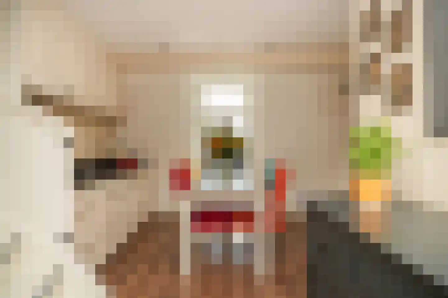 Brink 2 Langbroek thumbnail 7