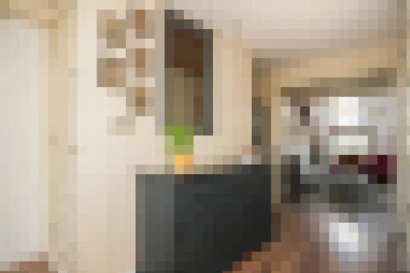 Brink 2 Langbroek thumbnail 9