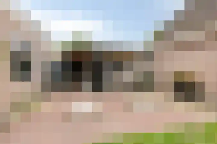 Brink 2 Makkinga thumbnail 33