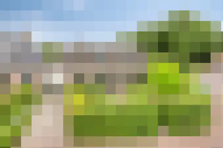 Brink 2 Makkinga thumbnail 35