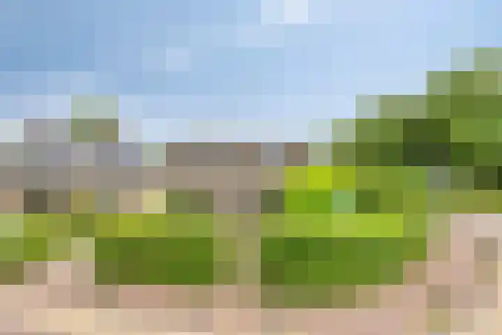 Brink 2 Makkinga thumbnail 44