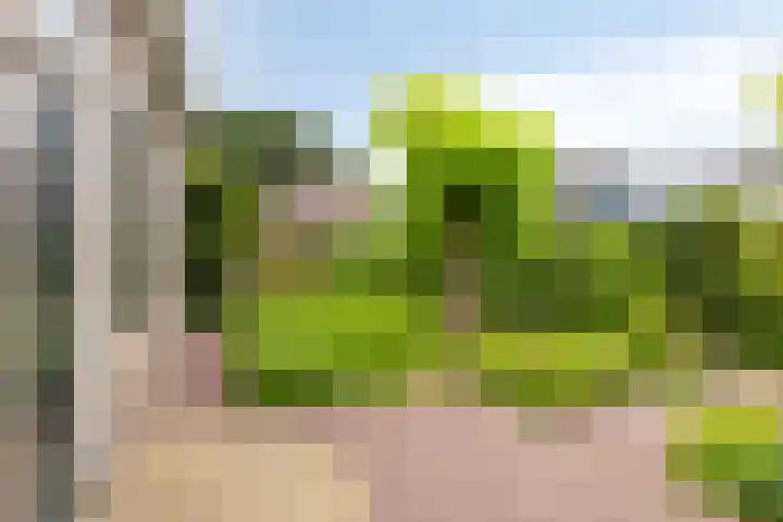 Brink 2 Makkinga thumbnail 5