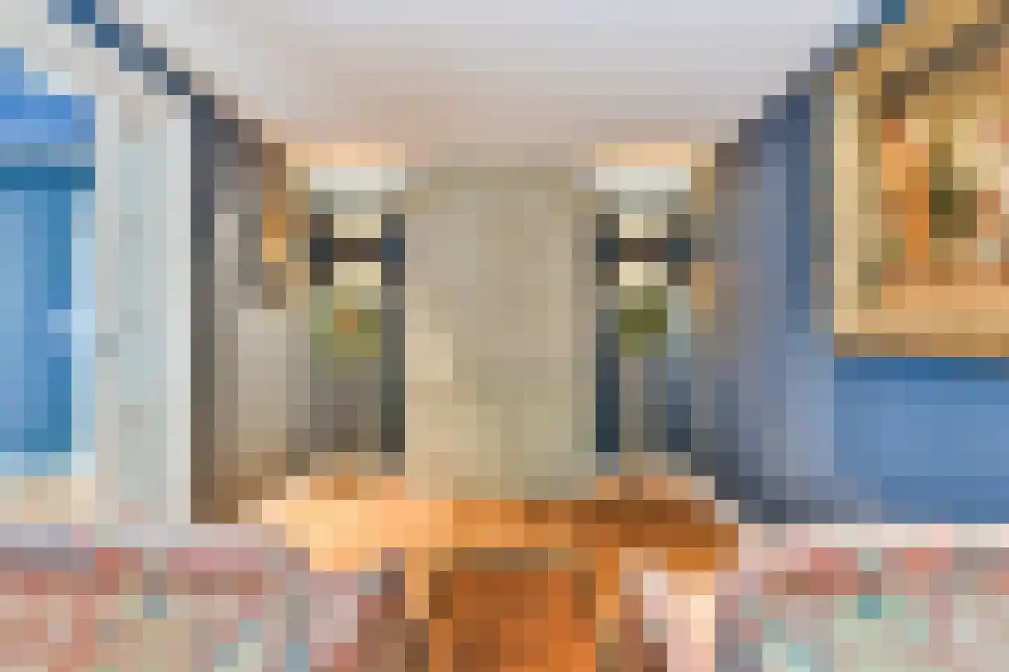 Brink 20 a Laren thumbnail 7