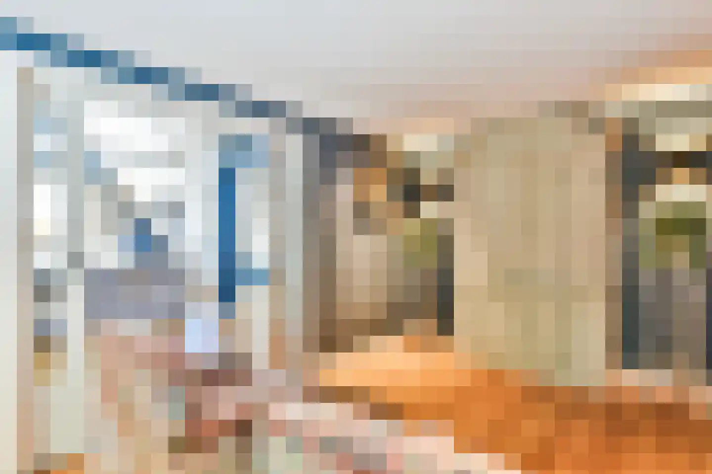 Brink 20 a Laren thumbnail 8